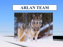 Arlan Team