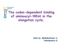 The codon-dependent binding of aminoacyl-tRNA in the elongation cycle