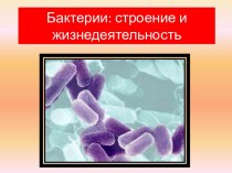 Бактерии: строение и жизнедеятельность. 5 класс