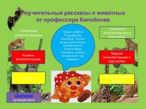 Поучительные рассказы о животных от профессора Колобкова