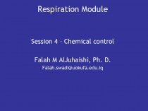 Respiration Module