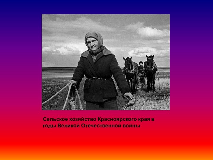 Сельское хозяйство Красноярского края в годы Великой Отечественной войны