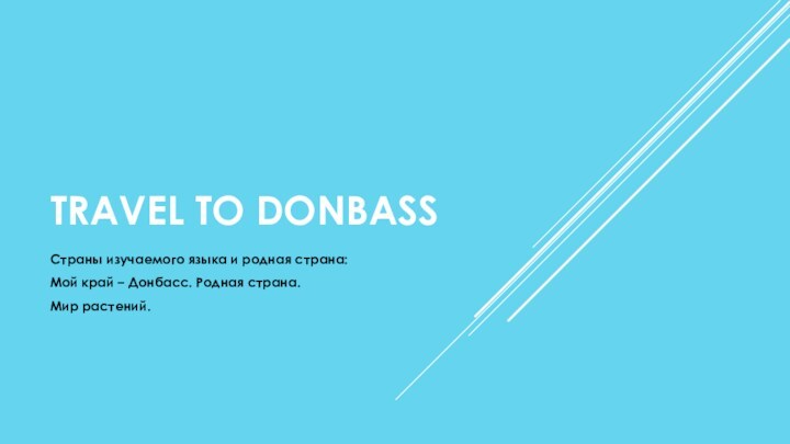 Travel to Donbass
