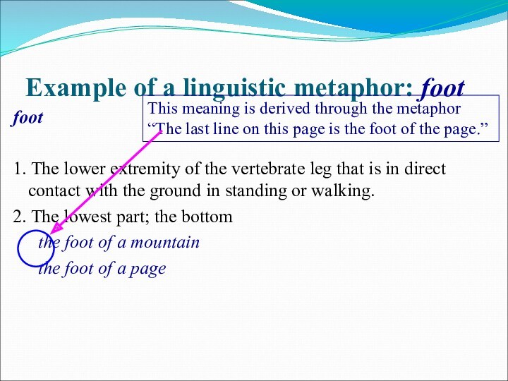 Example of a linguistic metaphor: footfoot1. The lower extremity of the vertebrate leg that is