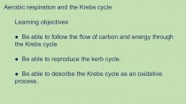 Aerobic respiration and the Krebs cycle