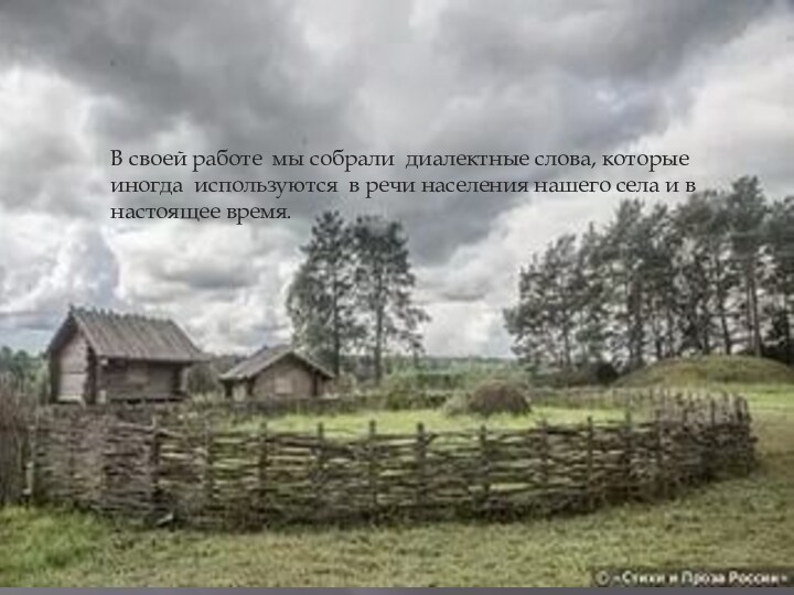В своей работе мы собрали диалектные слова, которые иногда используются в речи населения нашего села