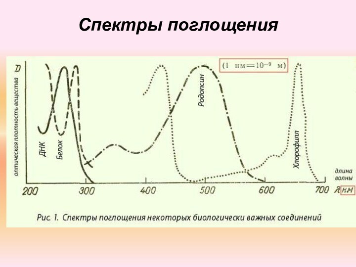 Спектры поглощения бывают. Каротин спектр поглощения. Спектры поглощения. Спектр поглощения воды. Электронные спектры поглощения.