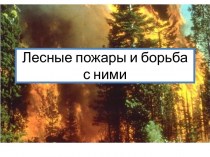 Лесные пожары и борьба с ними