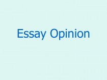 Essay Opinion
