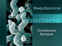 Систематика бактерий