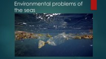 Environmental problems of the seas