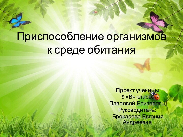 Приспособления организмов к среде обитания 5 класс. Стрекоза приспособление к среде. Лотос приспособление к среде обитания. Кроссворд на тему формы приспособленности организмов.