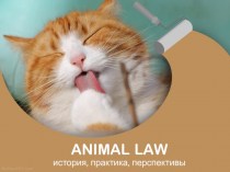 Animal Law - история, практика, перспективы. Вопросы права, связанные с с животными