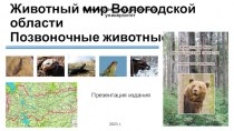 Животный мир Вологодской области