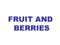 Fruit and berries
