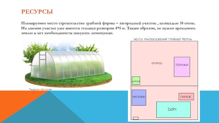 Бизнес план для выращивания грибов