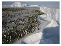 Антарктида. История открытия и изучения материка