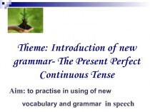 Introduction of new grammar- The Present Perfect Continuous Tense