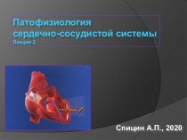 Патофизиология сердечно-сосудистой системы. Лекция 2