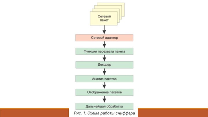 Сетевой пакет. Анализ сетевых пакетов. Пакет (сетевые технологии). Типы снифферов пакетные. Типы снифферов.