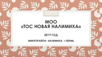 МОО ТОС Новая Налимиха - отчет о работе за 2019 год