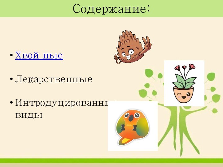 Содержание:ХвойныеЛекарственныеИнтродуцированные виды