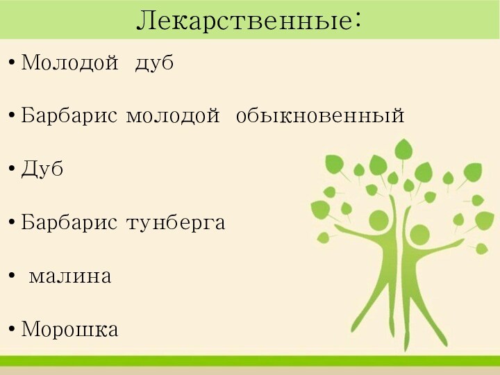 Лекарственные:Молодой дубБарбарис молодой обыкновенныйДубБарбарис тунберга малинаМорошка