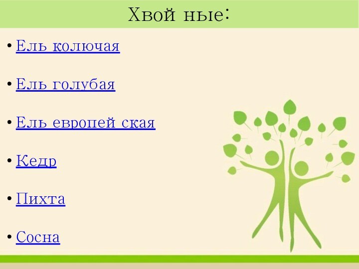 Хвойные:Ель колючаяЕль голубаяЕль европейскаяКедрПихтаСосна