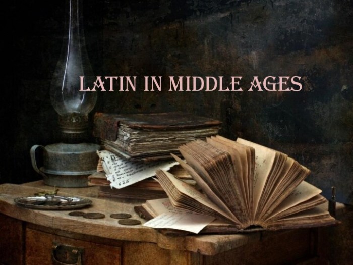 Latin in Middle Ages