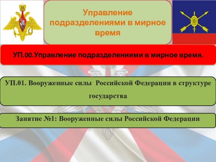 Управление подразделениями в мирное время. Вооруженные силы Российской Федерации в структуре государства