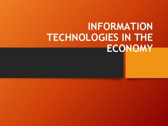 Information technologies in the economy