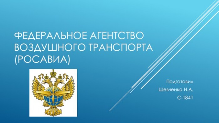 Аэронавигационное обслуживание пользователей воздушного пространства Российской Федерации