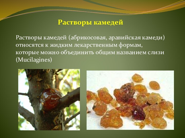 Растворы камедей Растворы камедей (абрикосовая, аравийская камеди) относятся к жидким лекарственным формам, которые можно объединить