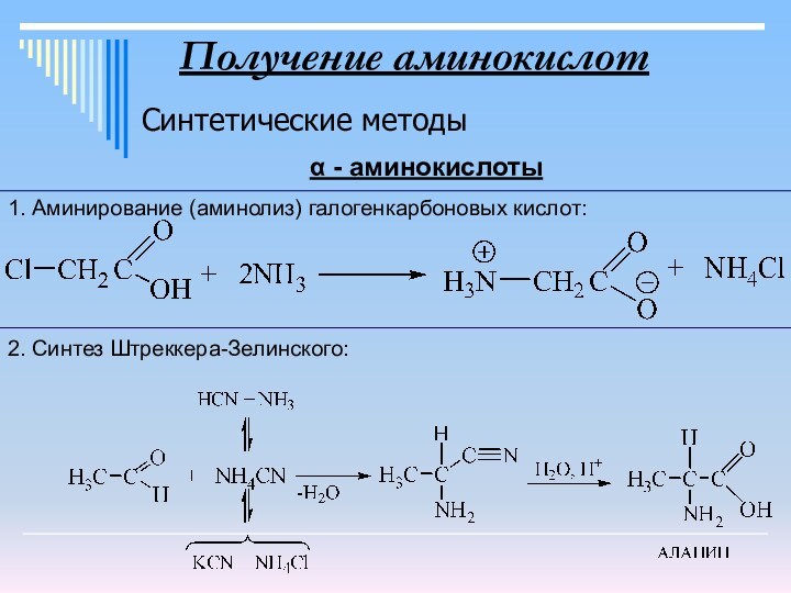 Получение аминокислотСинтетические методыα - аминокислоты1. Аминирование (аминолиз) галогенкарбоновых кислот:2. Синтез Штреккера-Зелинского: