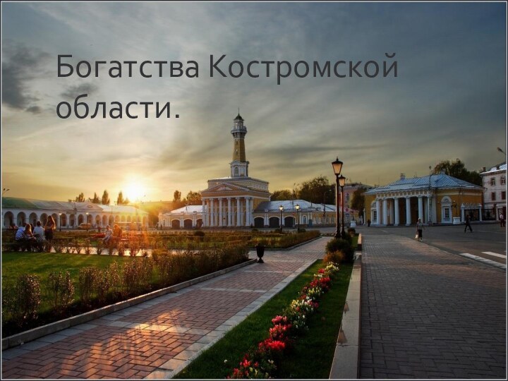 Богатства Костромской области