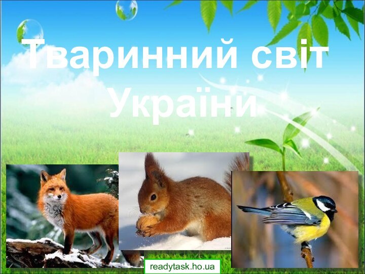 Тваринний світ України