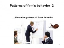 Alternative models of the firms behavior