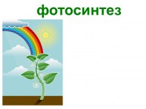 Фотосинтез и его значение. Питание растений