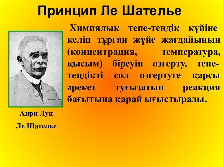 Анри Луи Ле Шателье. Принцип Ле Шателье в химии. Принцип Ле Шателье Брауна. Ле Шателье семья.