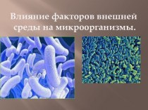 Факторы влияющие на микроорганизмы