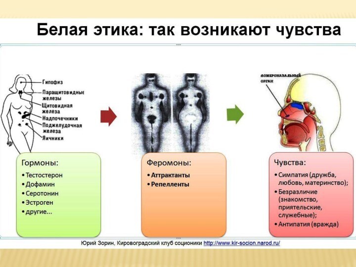 Какие чувства возникают