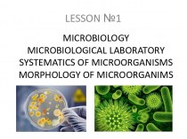 Microbiology. Microbiological laboratory systematics of microorganisms morphology of microorganims