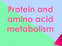 Protein and amino acid metabolism
