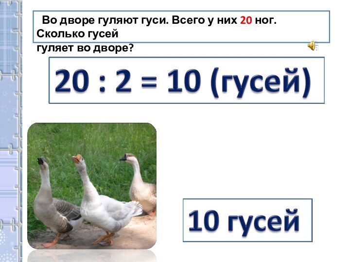 Буквы и звуки в слове гусь. Сколько гусей. За сколько вырастает Гусь. Гусь сколько слогов. Гусь сколько букв и звуков.