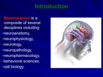 Introduction. Neuroscience is a composite of several disciplines including