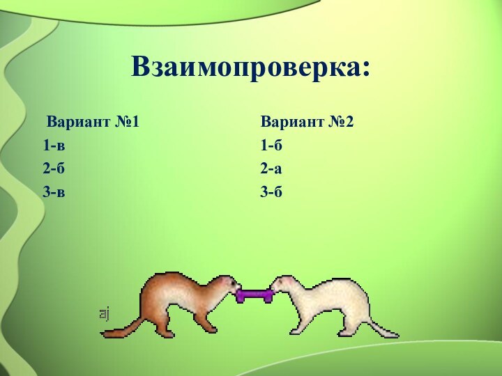 Тест по теме млекопитающие 8 класс. Взаимопроверка 1 вариант. Загадки про млекопитающих 7 класс. Тест по теме млекопитающие.