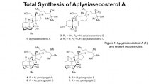 Total Synthesis of Aplysiasecosterol A