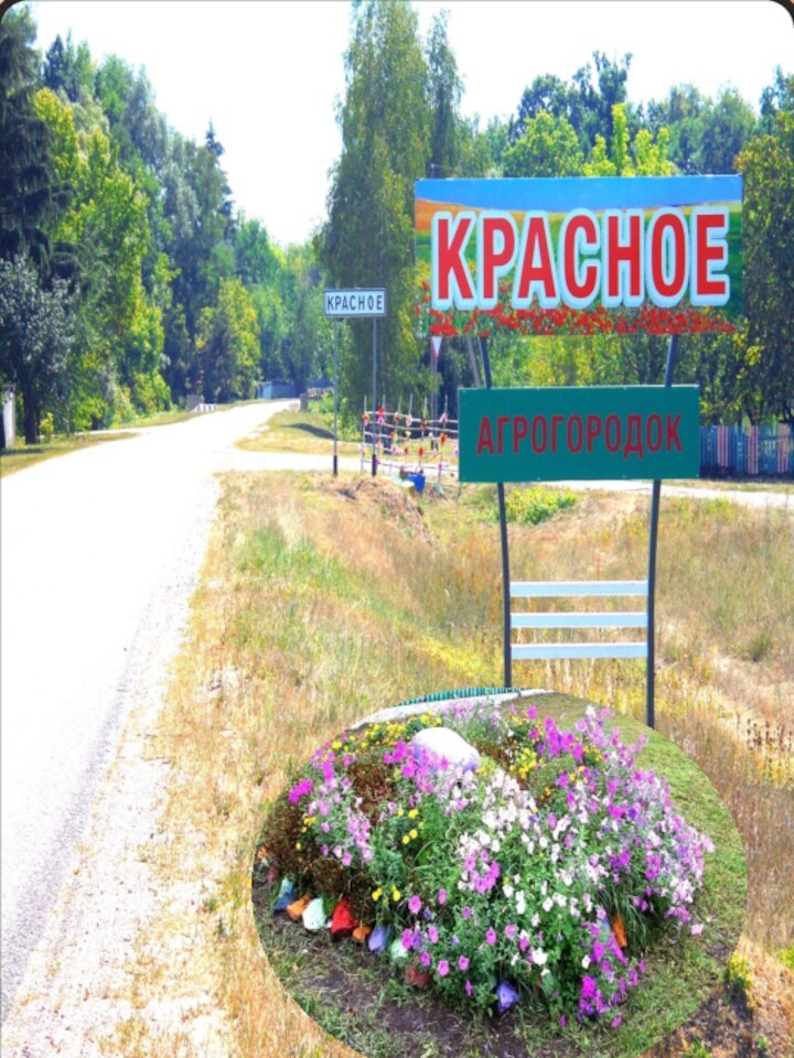 Новоиолченский сельский совет. Брагинский район. 2016 год