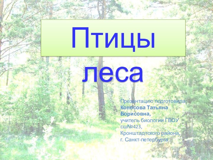 Птицы леса презентация