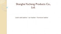 Shanghai Yucheng Products Co